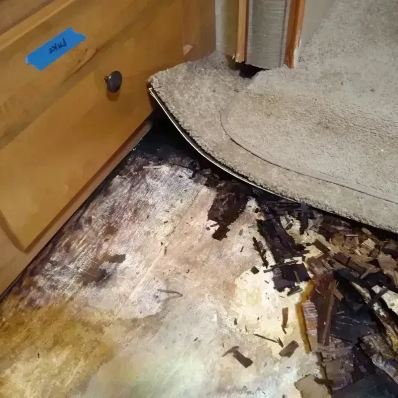 Wood Floor Water Damage in Huntington, IN